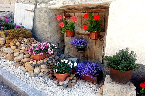 French village flowers